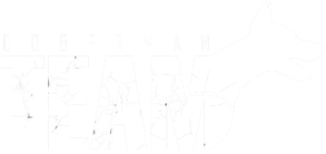 Team Doberman